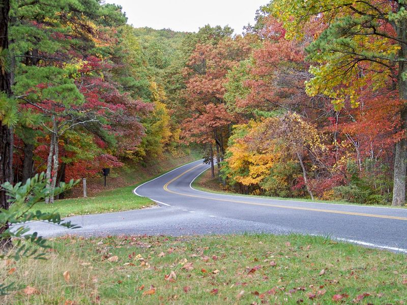 Skyline Drive, Virginia