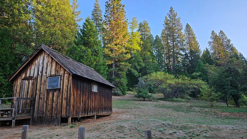 Sleeping Among Pines at Chute Hill Campground