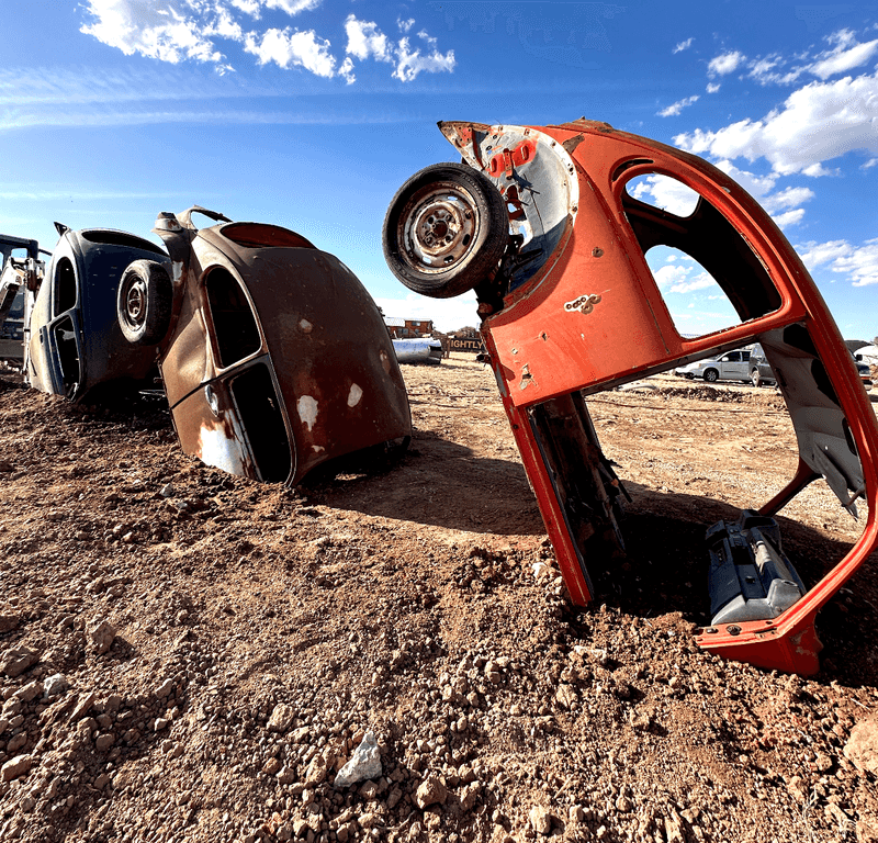Slug Bug Ranch And Its Buried Beetles Slug Bug Ranch And Its Buried Beetles