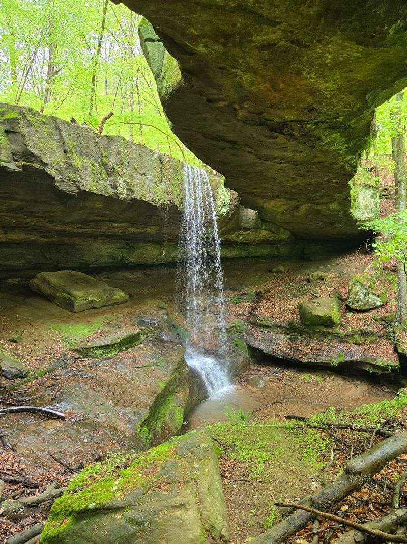 Small Water Features Add Surprise