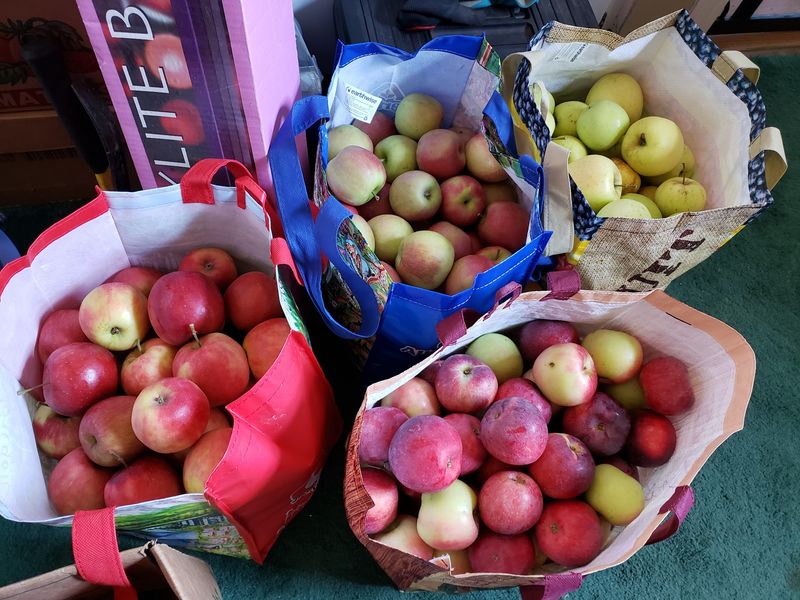 So Many Apple Varieties You Will Need A Plan So Many Apple Varieties You Will Need A Plan