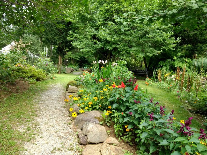 Someone's Backyard Dream Grew Wild Someone's Backyard Dream Grew Wild