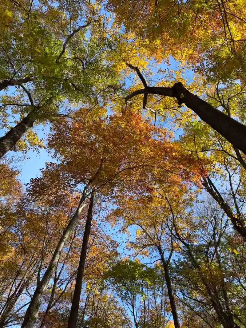 Sourland Mountain Preserve, A Rugged Autumn Escape Sourland Mountain Preserve, A Rugged Autumn Escape