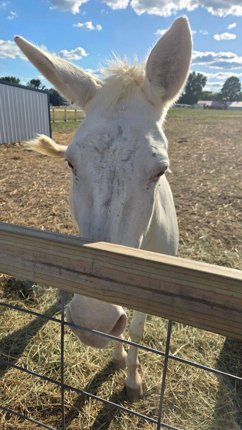 Sponsor An Animal And Get A Front Row Seat Sponsor An Animal And Get A Front Row Seat