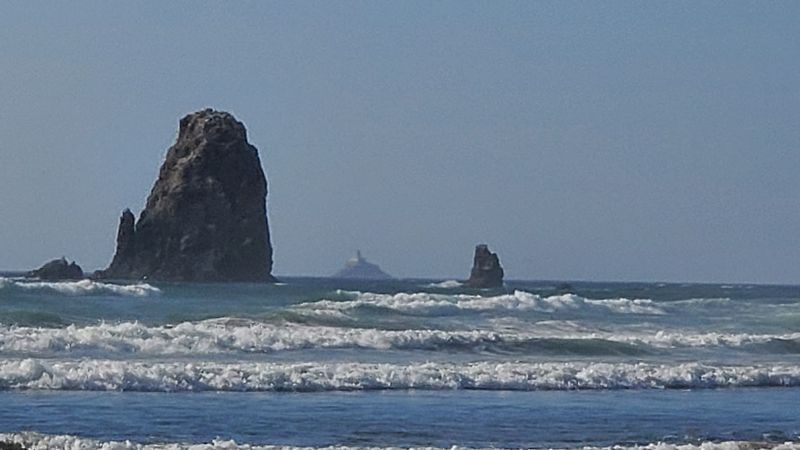Spotting Tilly Straight From Cannon Beach Sand Spotting Tilly Straight From Cannon Beach Sand