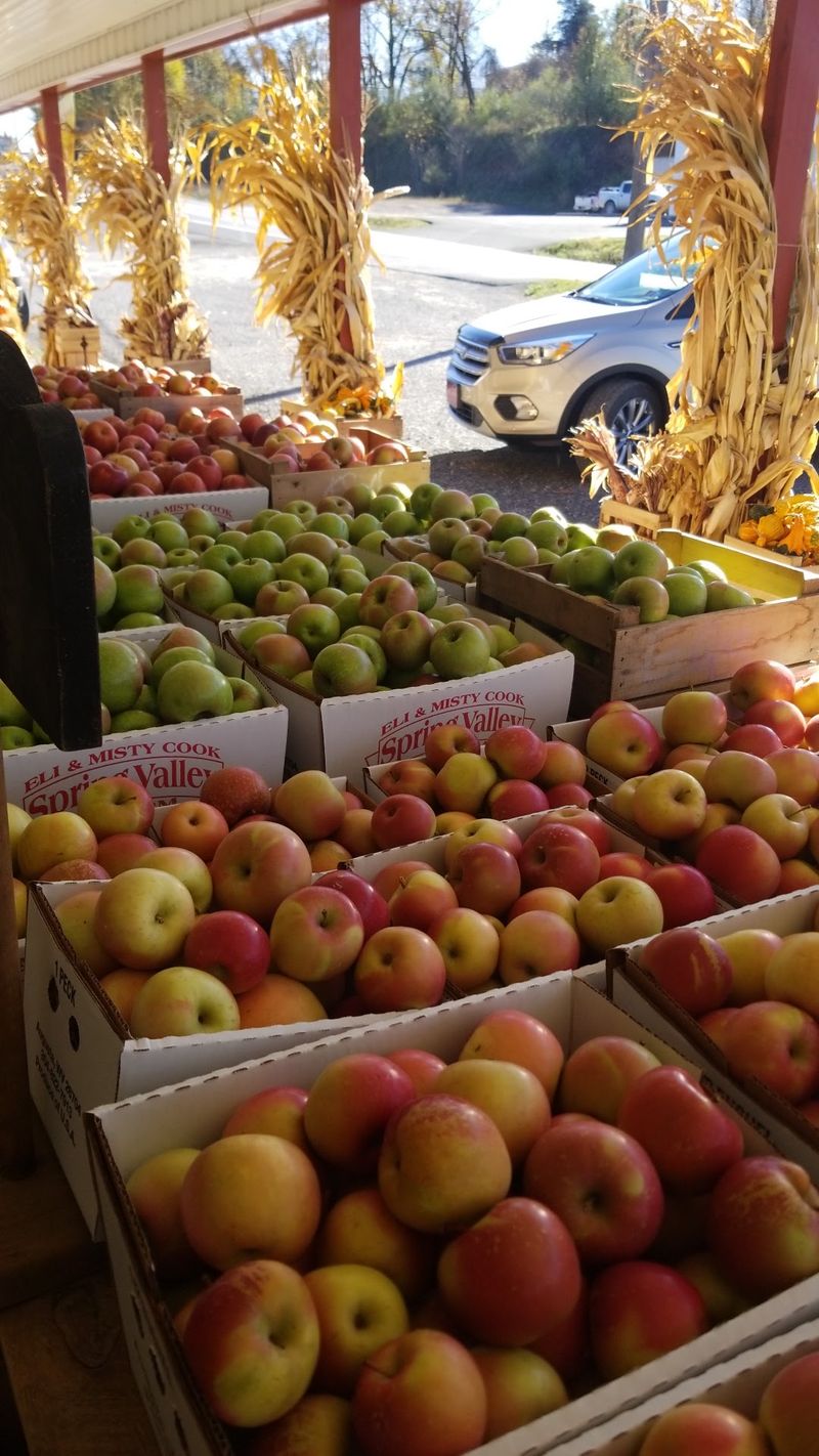 Spring Valley Farm Market- Romney, Romney, WV