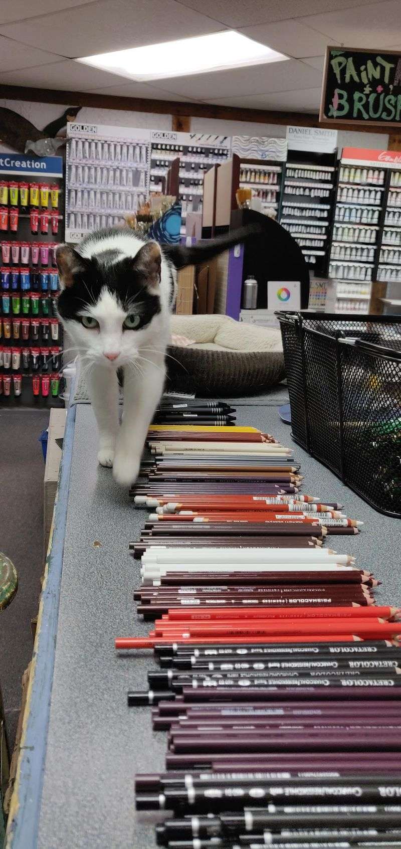 Staff Who Talk Materials Like Old Friends