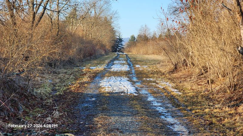 State Game Lands 252 and How to Walk It Smartly State Game Lands 252 and How to Walk It Smartly
