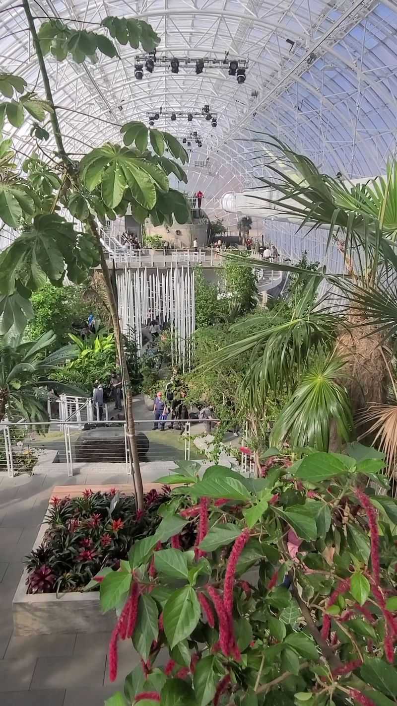 Stepping Inside The Crystal Bridge Conservatory Stepping Inside The Crystal Bridge Conservatory