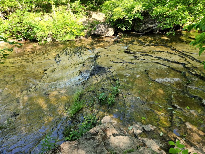 Stepping Stones Make The Crossings Fun