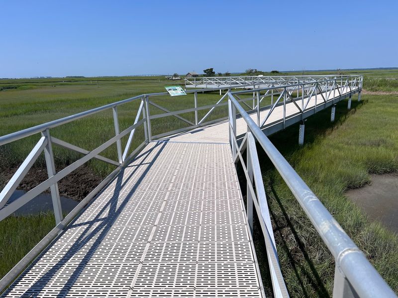 Stone Harbor Lets The Salt Marsh Take Center Stage