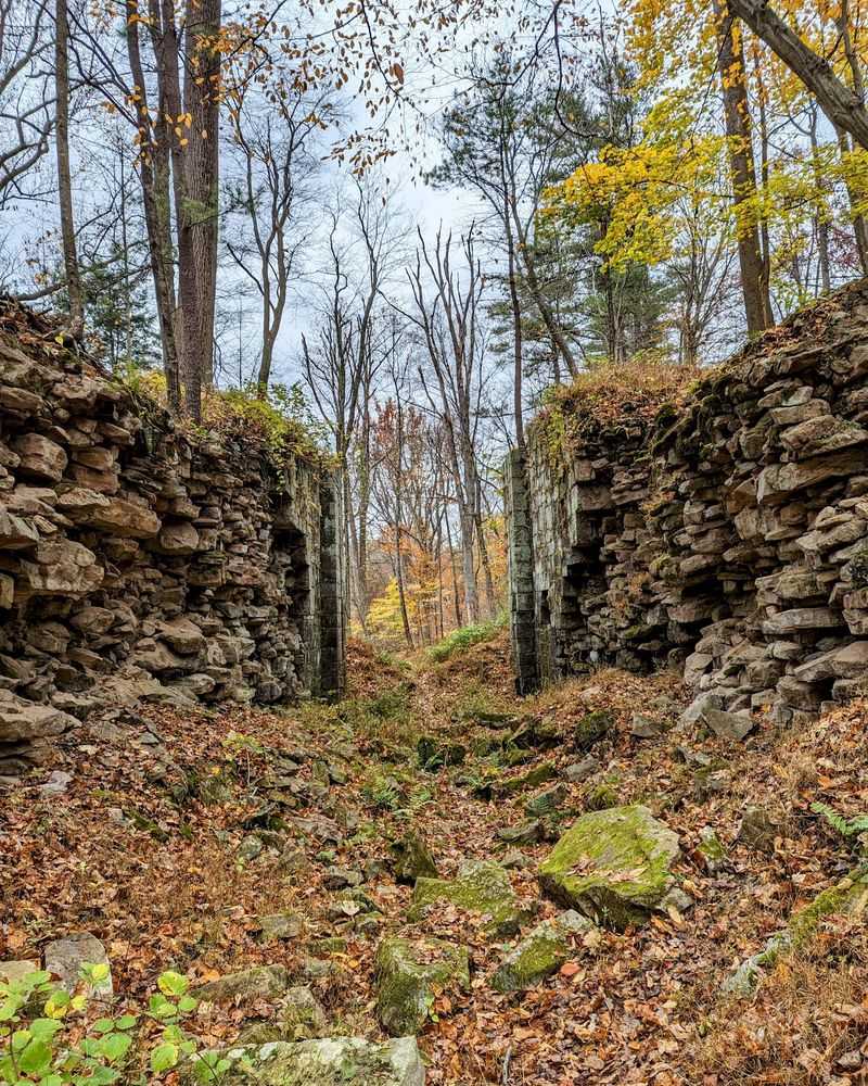 Stone Locks Hiding in the Underbrush