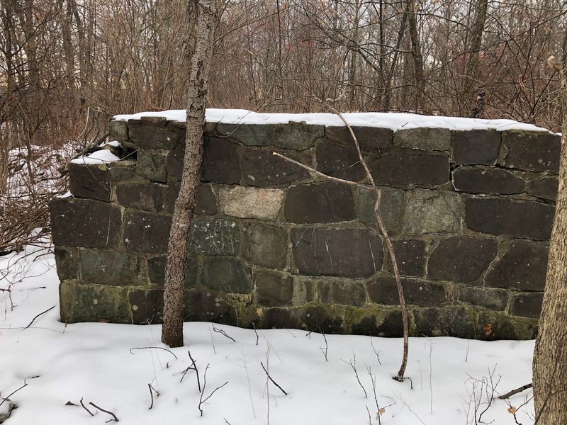 Stone Ruins Hidden in the Trees