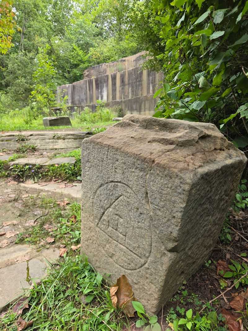 Stone Ruins the Forest Is Slowly Swallowing Stone Ruins the Forest Is Slowly Swallowing