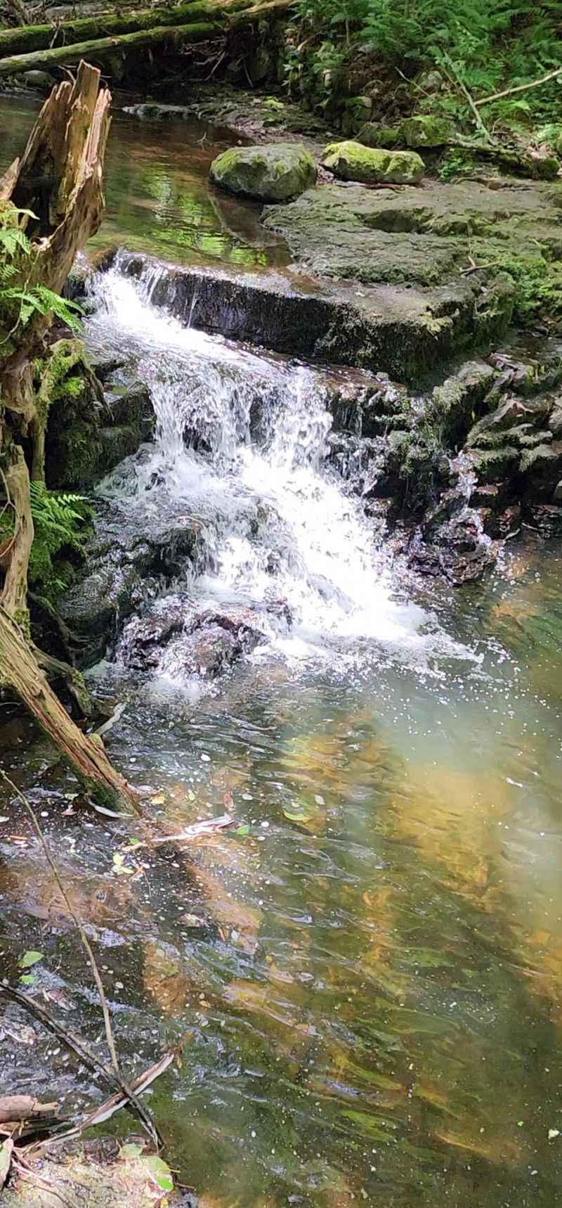 Stony Brook Trail to Stony Brook Falls