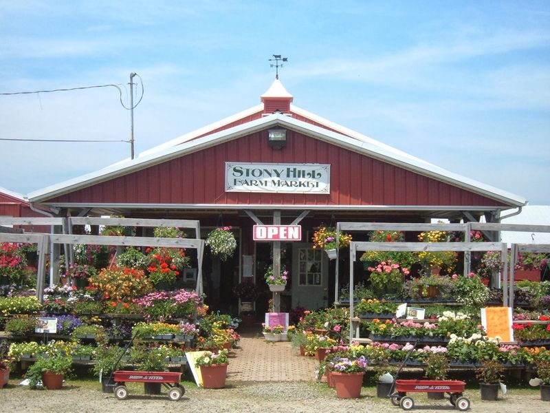 Stony Hill Farms in Chester Stony Hill Farms in Chester