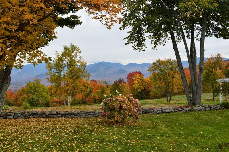 Sunset Hill House Restaurant in Sugar Hill