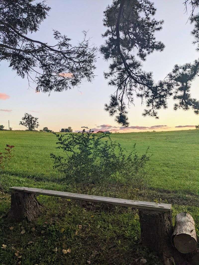 Sunsets Over the Meadows That Nobody Warns You About Sunsets Over the Meadows That Nobody Warns You About