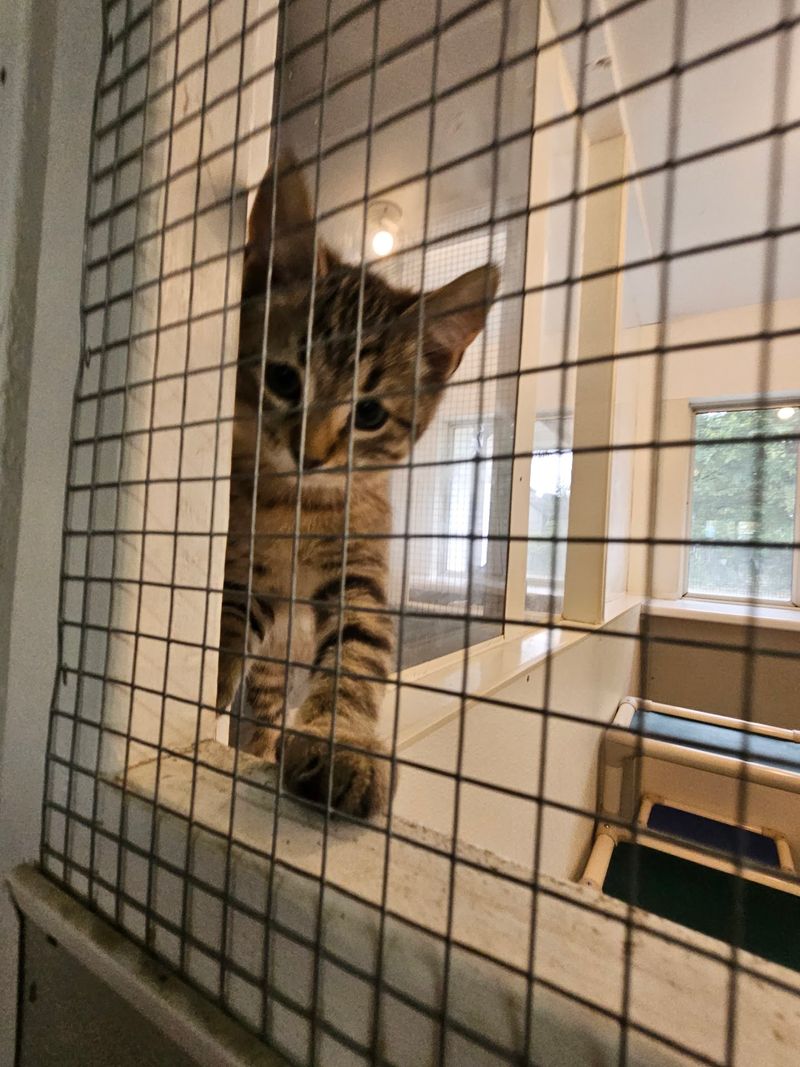 TNR Work And An Unexpected Prison Partnership TNR Work And An Unexpected Prison Partnership