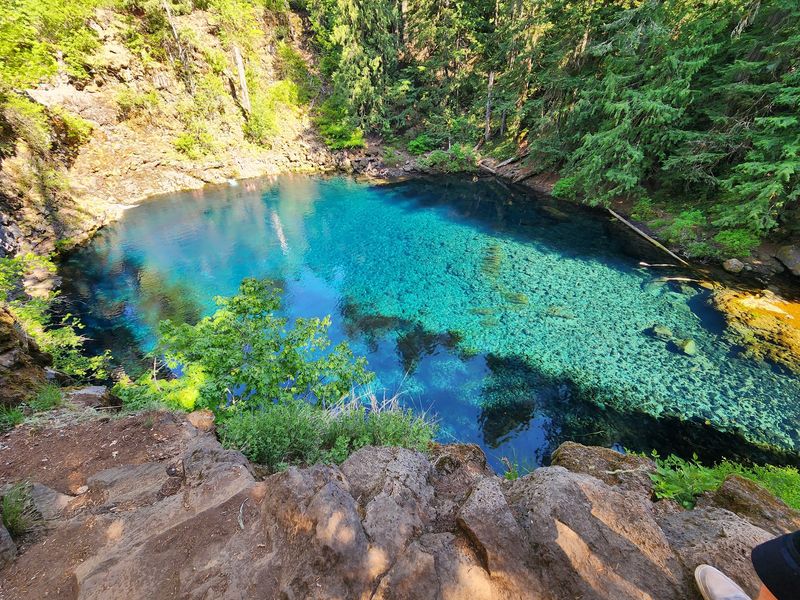 Tamolitch Blue Pool And Its Unreal Color Tamolitch Blue Pool And Its Unreal Color
