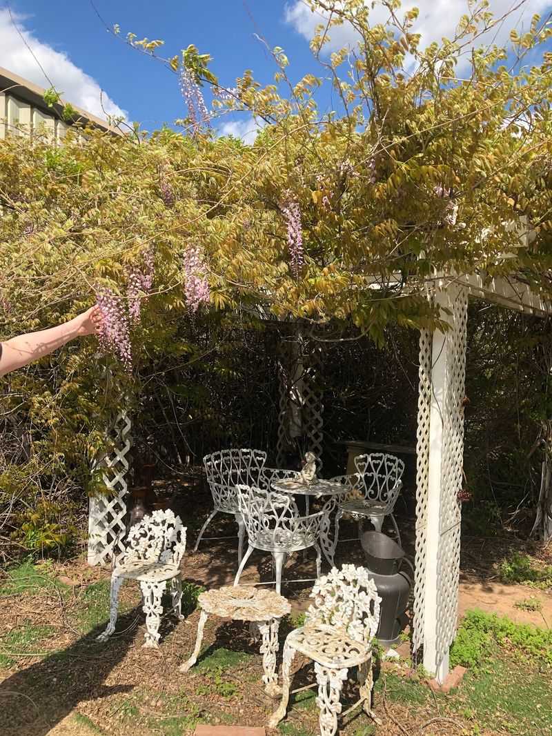 Tea Parties and Other Gatherings