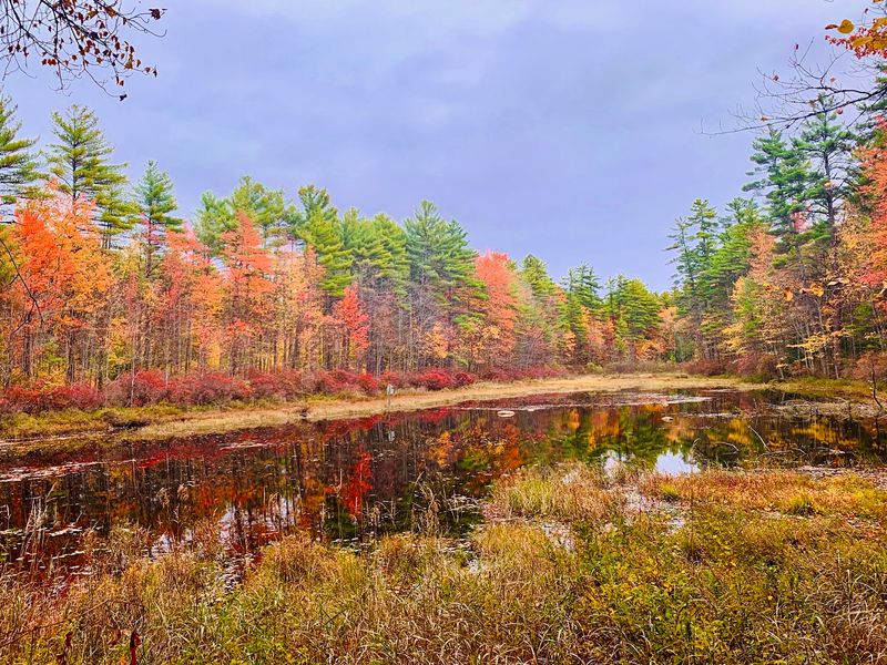 Ten Thousand Acres Of Forest That Never Feels Crowded Ten Thousand Acres Of Forest That Never Feels Crowded
