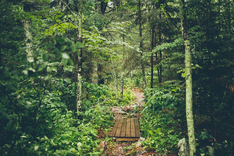 Tennis Courts, a Gym, and Trails Between the Trees
