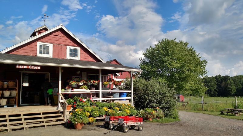 Terhune Orchards, Princeton