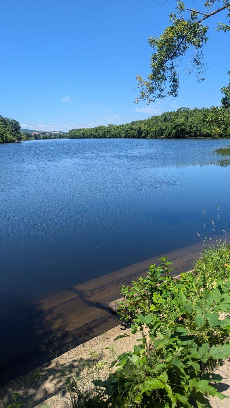 Terrill Park in Concord