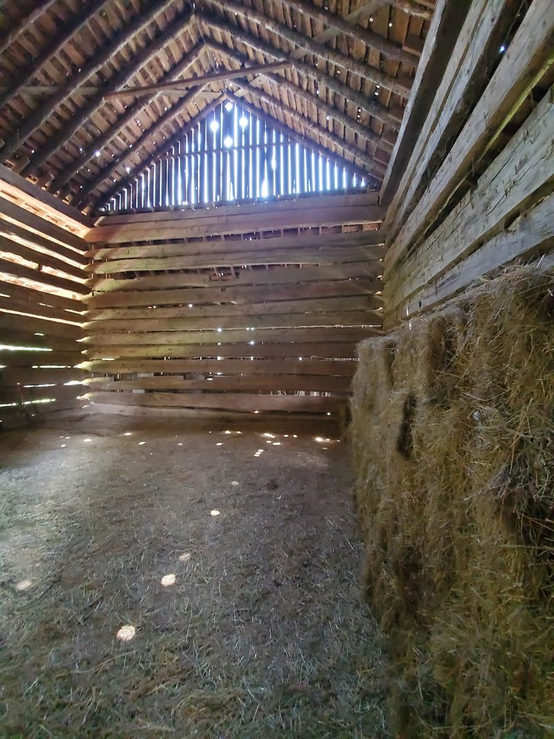 The 1808 Log Barn, Springhouse and Cider House
