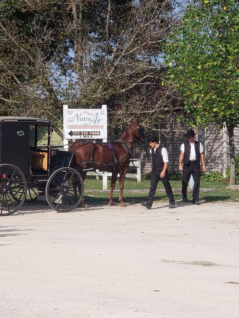 The Amish Countryside Around Versailles The Amish Countryside Around Versailles