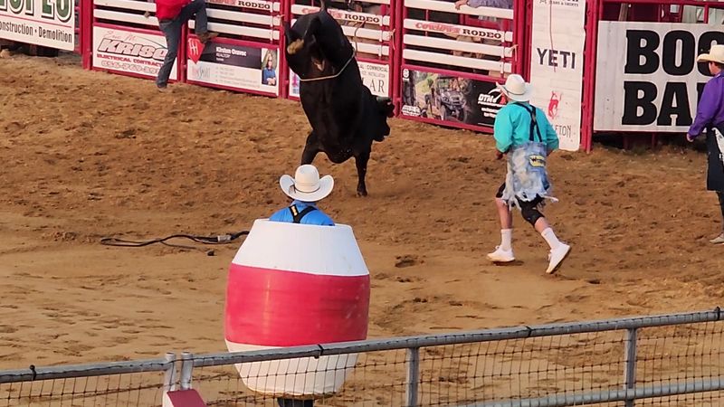 The Announcer And Rodeo Clown Keep Everyone In On It