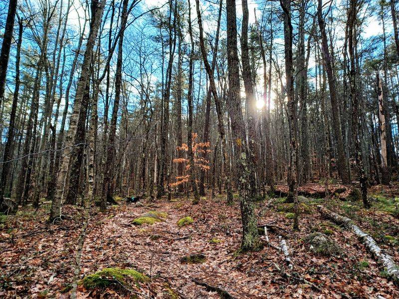 The Archery Range That Turns Beginners Into Believers The Archery Range That Turns Beginners Into Believers