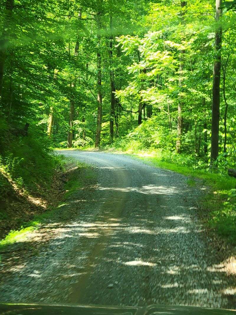 The Back Road Journey From Holly River State Park