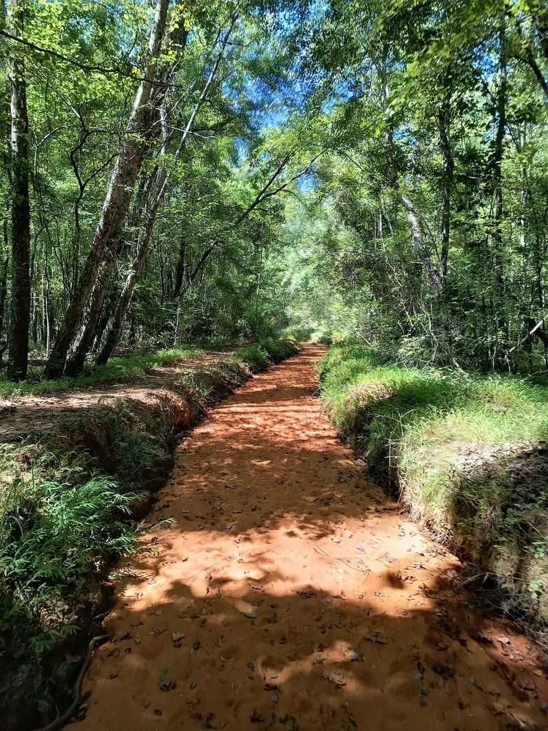 The Backcountry Trail and Nights Under the Stars The Backcountry Trail and Nights Under the Stars