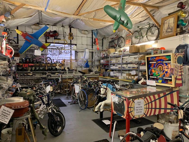 The Bike Tree and Other Wonderfully Weird Displays The Bike Tree and Other Wonderfully Weird Displays