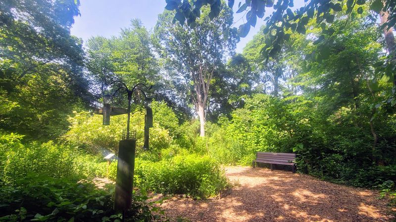The Bird Blind That Rewards Patience