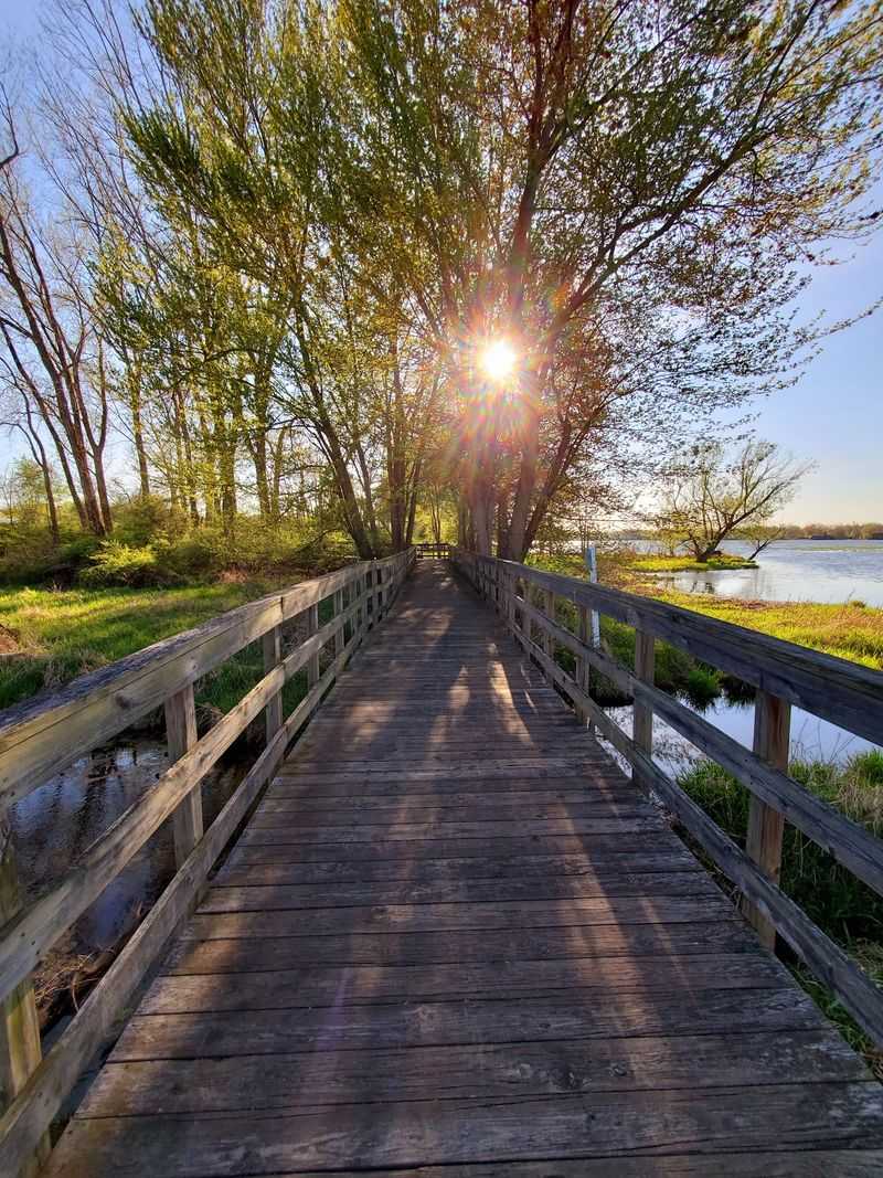 The Boardwalk That Floats Above an Ice Age Wetland