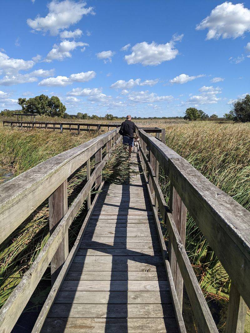 The Boardwalk That Puts You Inches From The Water The Boardwalk That Puts You Inches From The Water