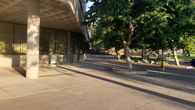 The Campus Arboretum and Its Quiet Corners