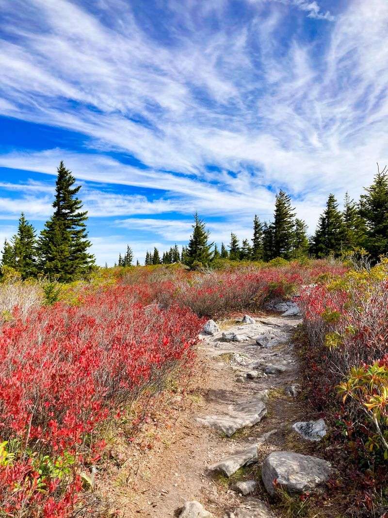 The Canadian Wilderness of Dolly Sods