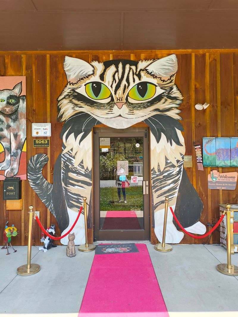 The Catman Behind the Whole Thing The Catman Behind the Whole Thing