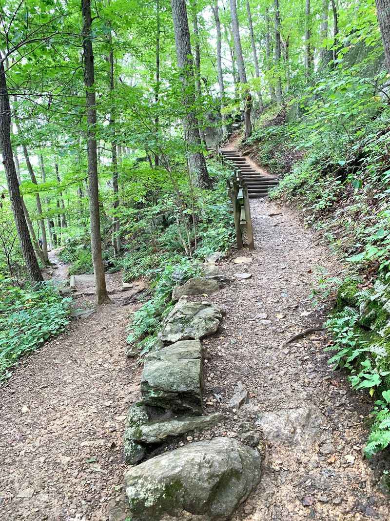 The Climb Is No Joke So Pace Yourself The Climb Is No Joke So Pace Yourself