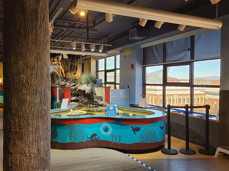 The Cove at the Science Museum of Western Virginia, Roanoke, VA