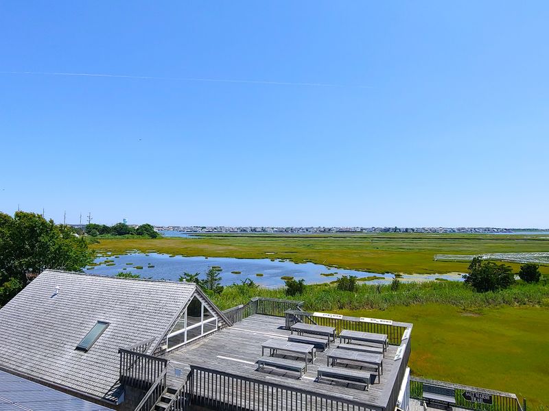 The Elevated Marsh Walkway Delivers The Big View