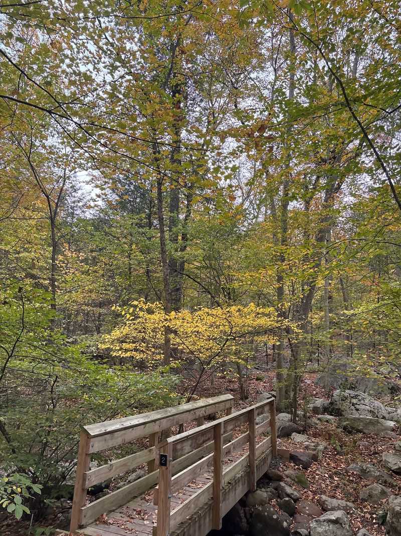 The Emily K. Hammond Wildflower Trail in Full Color