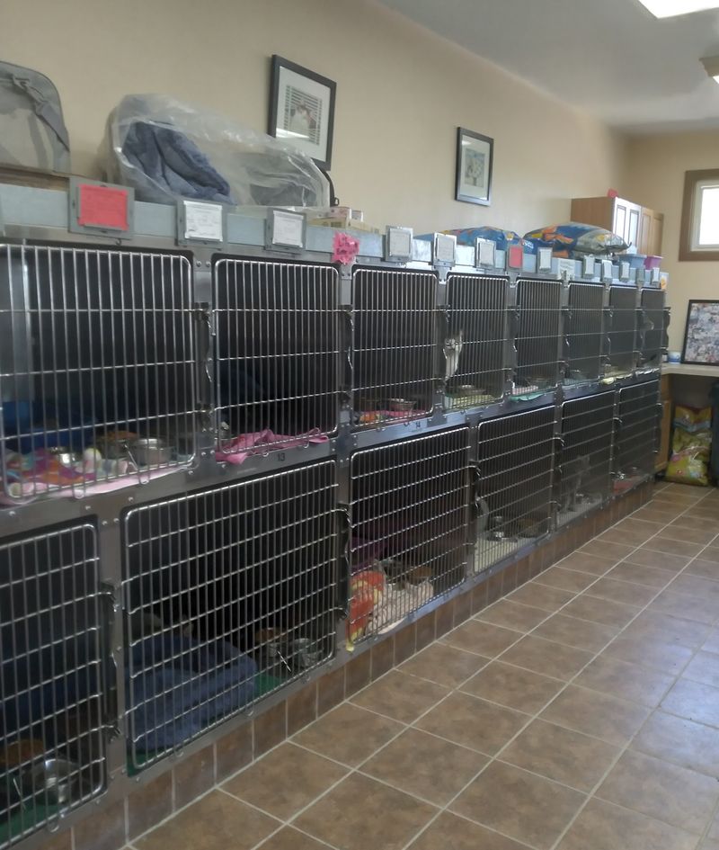 The Evelyn Kilmer Spay and Neuter Clinic The Evelyn Kilmer Spay and Neuter Clinic