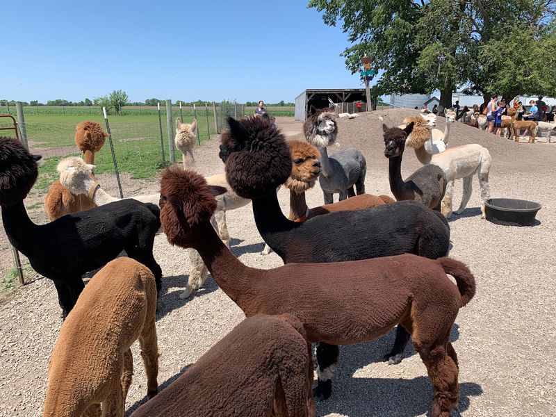 The Farm That Started This Whole Idea