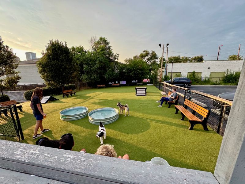 The Fenced Dog Park Steals Half the Show The Fenced Dog Park Steals Half the Show