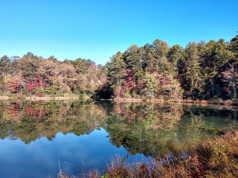The Four-Acre Pond and the Nature Trail Loop